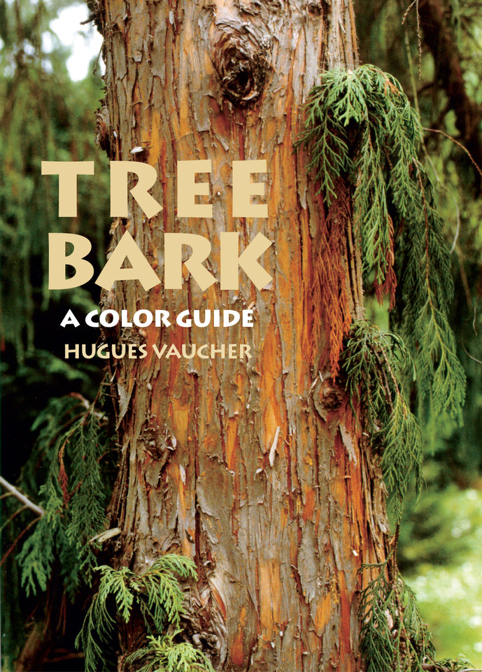 Tree Bark: A Color Guide book cover by Hugues Vaucher