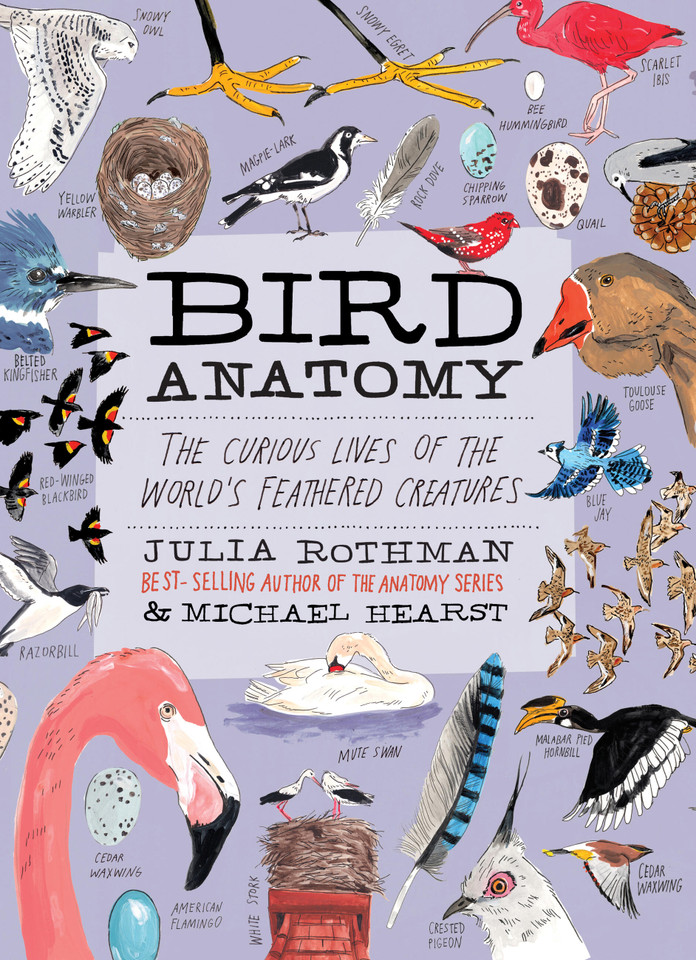 Bird Anatomy: The Curious Lives of the World's Feathered Creatures (Anatomy) book cover by Julia Rothman