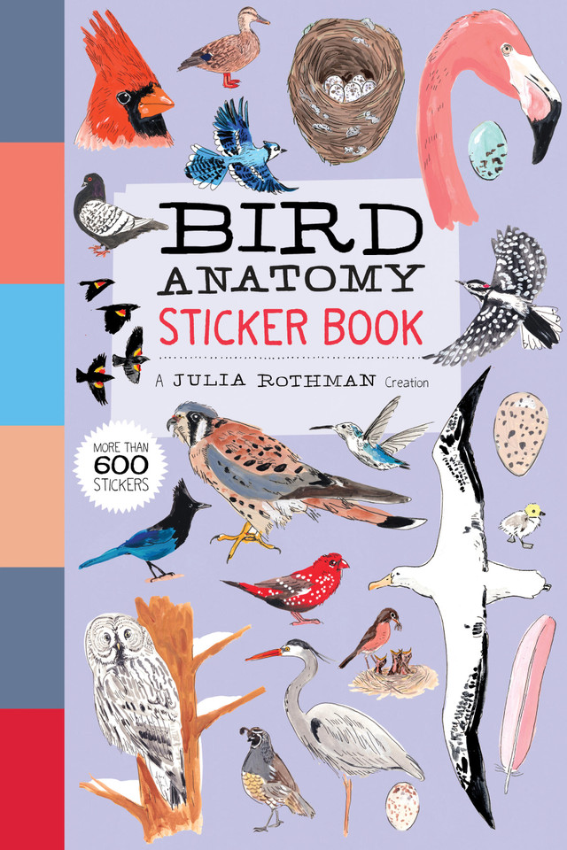 Bird Anatomy Sticker Book: A Julia Rothman Creation; More Than 600 Stickers (Anatomy) book cover by Julia Rothman