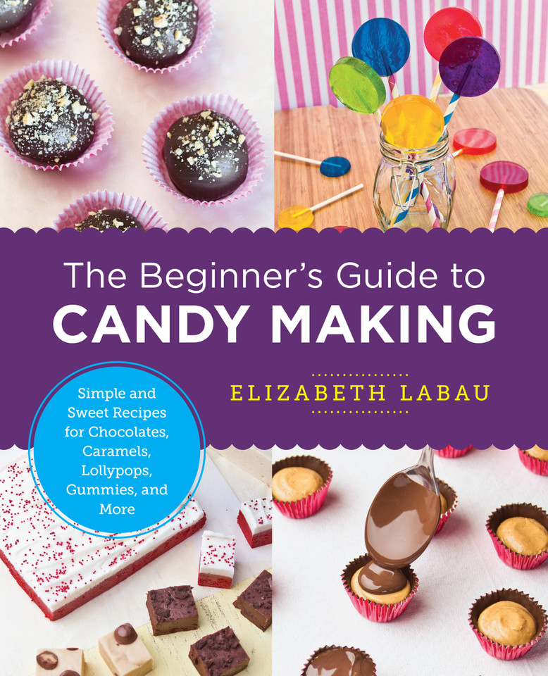 The Beginner's Guide to Candy Making: Simple and Sweet Recipes for Chocolates, Caramels, Lollypops, Gummies, and More (New Shoe Press) book cover by Elizabeth LaBau
