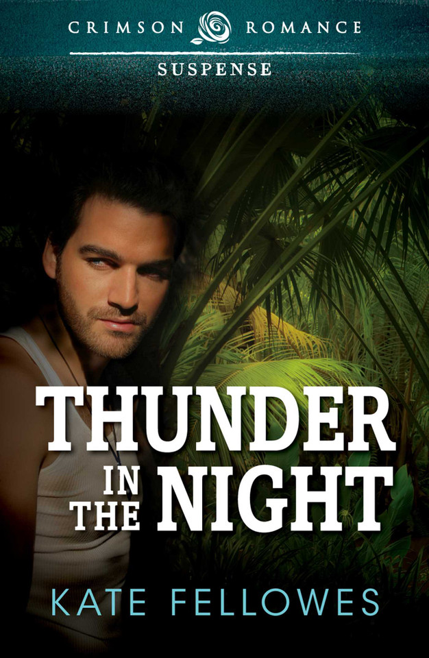 Thunder In The Night book cover by Kate Fellowes