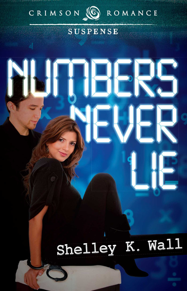 Numbers Never Lie book cover by Shelley K Wall