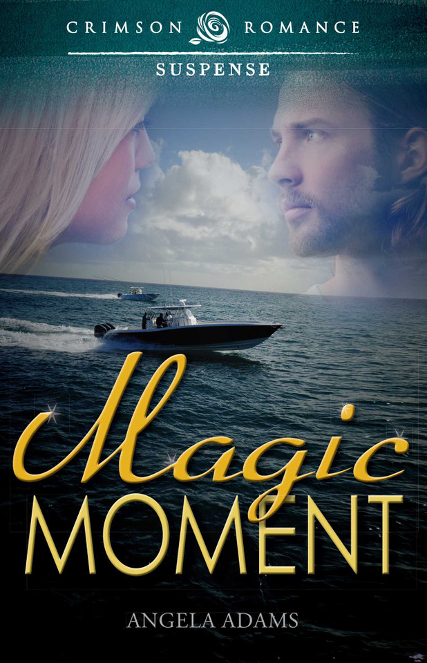 Magic Moment book cover by Angela Adams