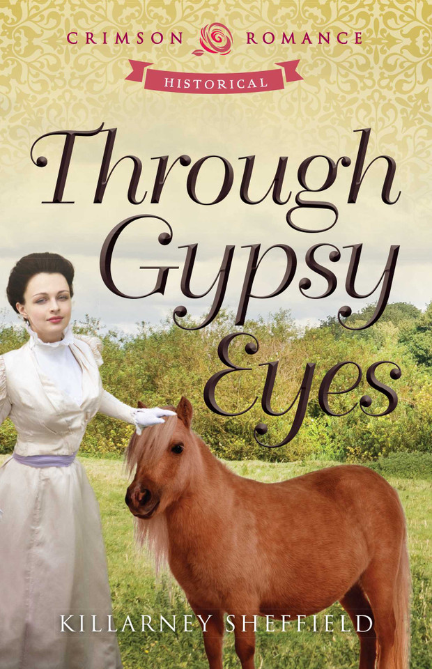 Through Gypsy Eyes book cover by Killarney Sheffield
