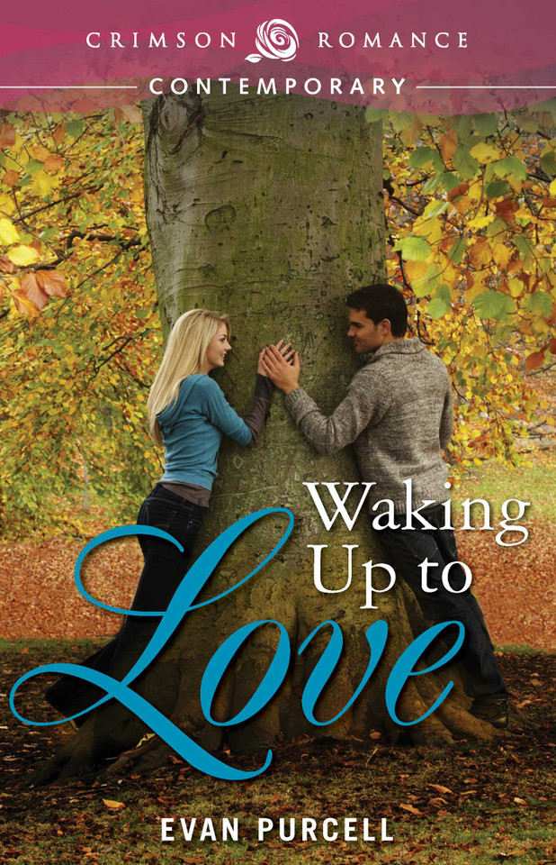 Waking Up To Love book cover by Evan Purcell