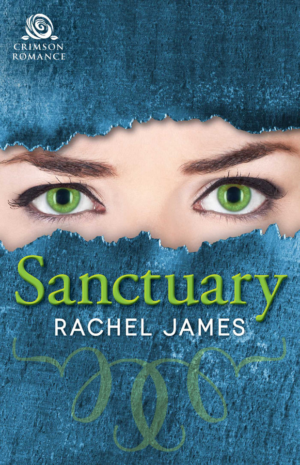 The Sanctuary book cover by Rachel James