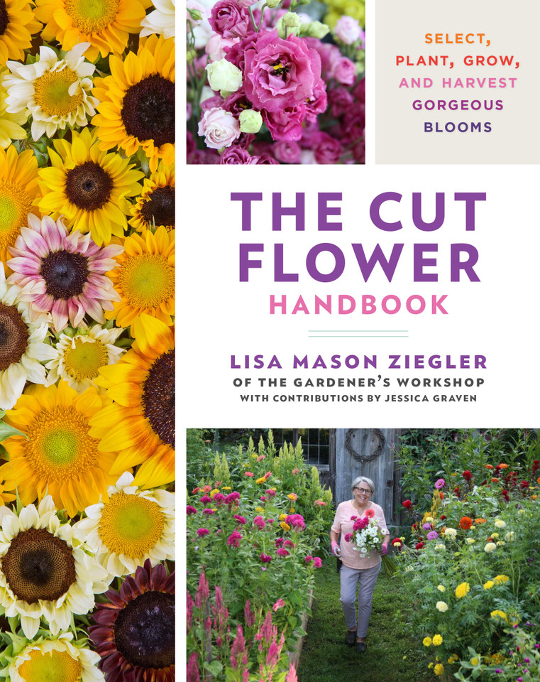 The Cut Flower Handbook: Select, Plant, Grow, and Harvest Gorgeous Blooms book cover by Lisa Mason Ziegler