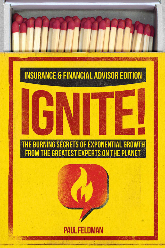 Ignite!: The Burning Secrets Of Exponential Growth From The Greatest Experts On The Planet book cover by Paul Feldman