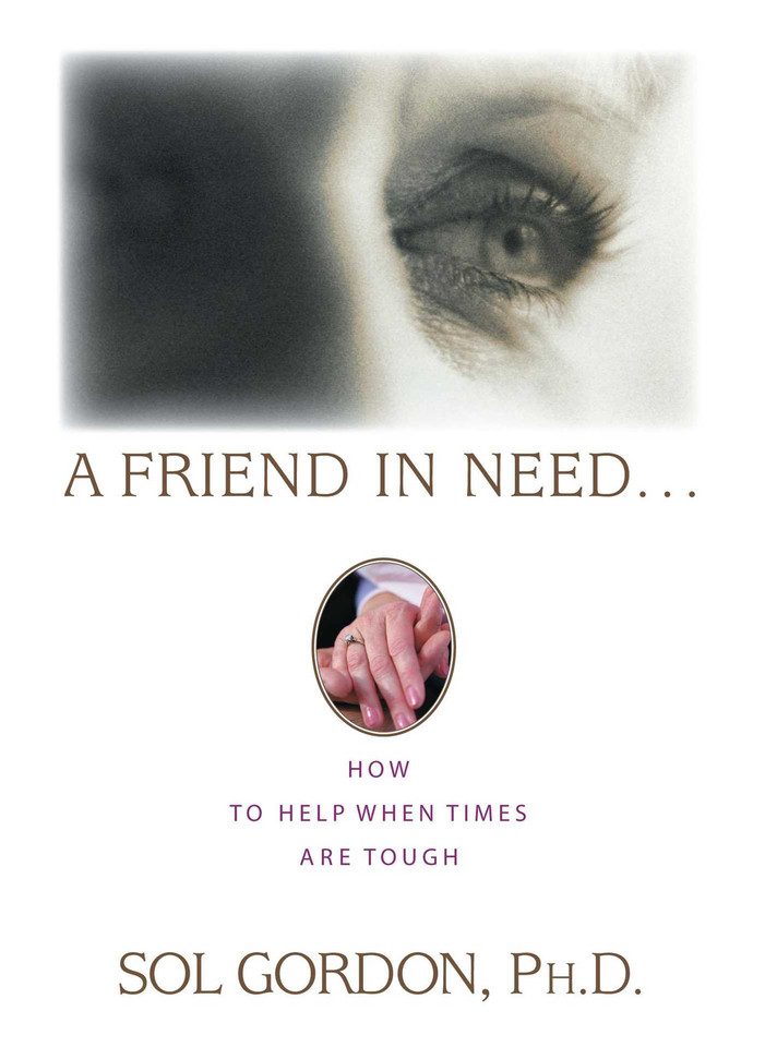 Friend in Need book cover by Sol Gordon