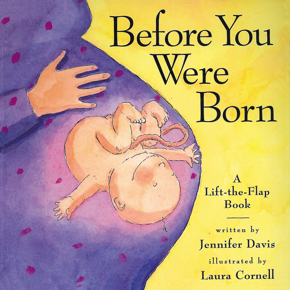 Before You Were Born book cover by Jennifer Davis