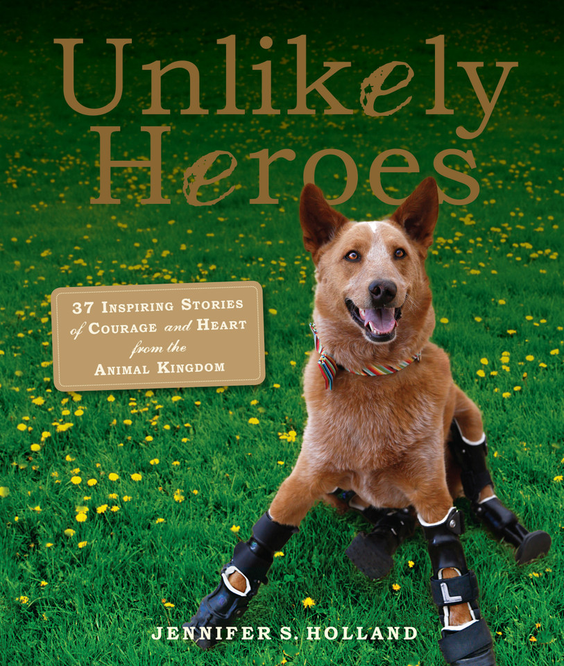 Unlikely Heroes: 37 Inspiring Stories of Courage and Heart from the Animal Kingdom (Unlikely Friendships) book cover by Jennifer S. Holland