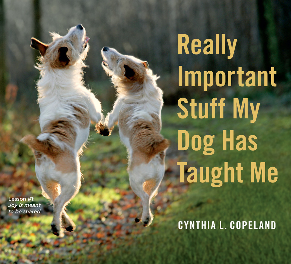 Really Important Stuff My Dog Has Taught Me book cover by Cynthia L. Copeland