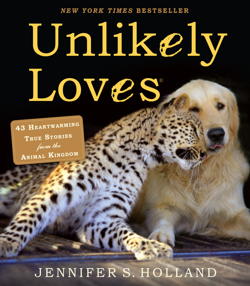 Unlikely Loves: 43 Heartwarming True Stories from the Animal Kingdom (Unlikely Friendships) book cover by Jennifer S. Holland