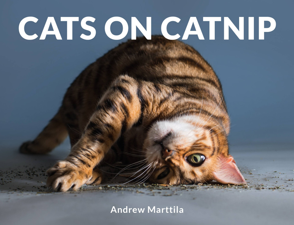Cats on Catnip book cover by Andrew Marttila