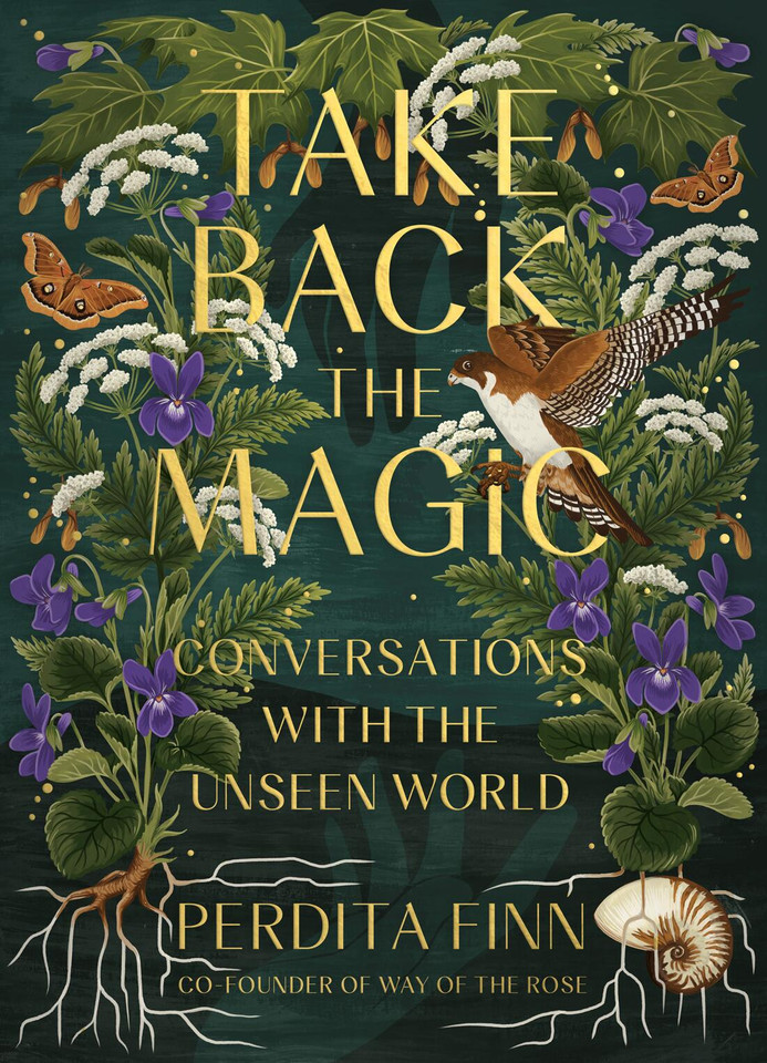 Take Back the Magic: Conversations with the Unseen World book cover by Perdita Finn