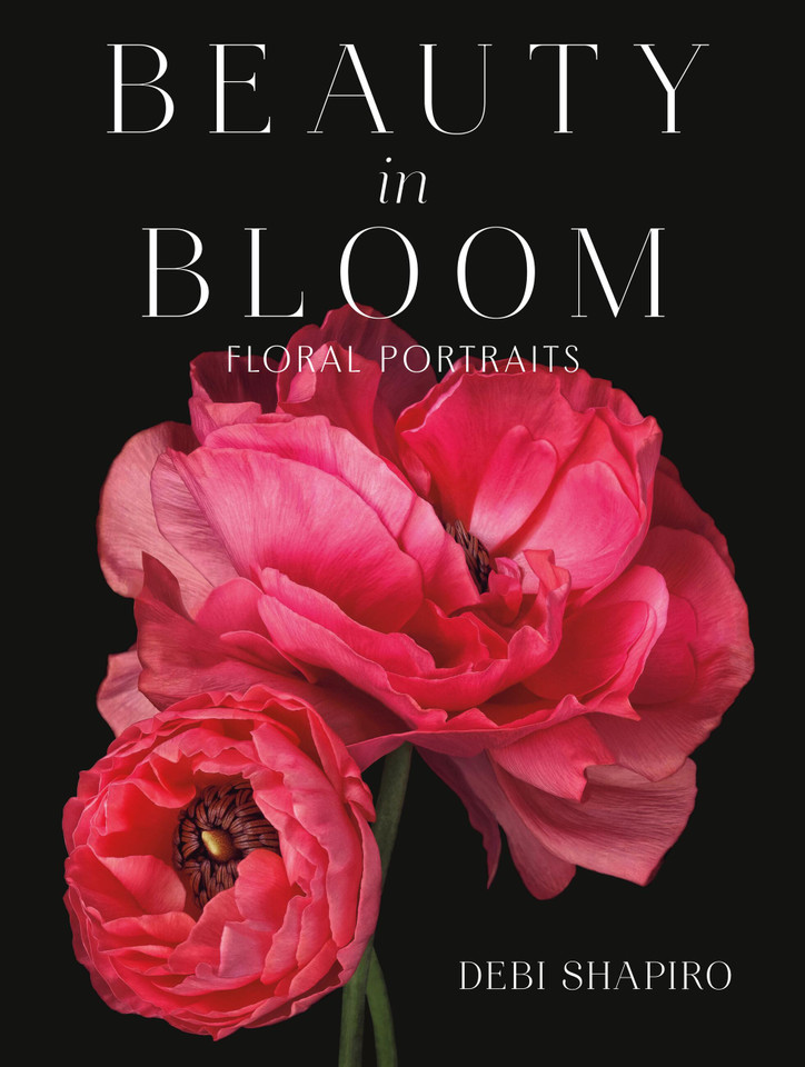 Beauty in Bloom: Floral Portraits book cover by Debi Shapiro