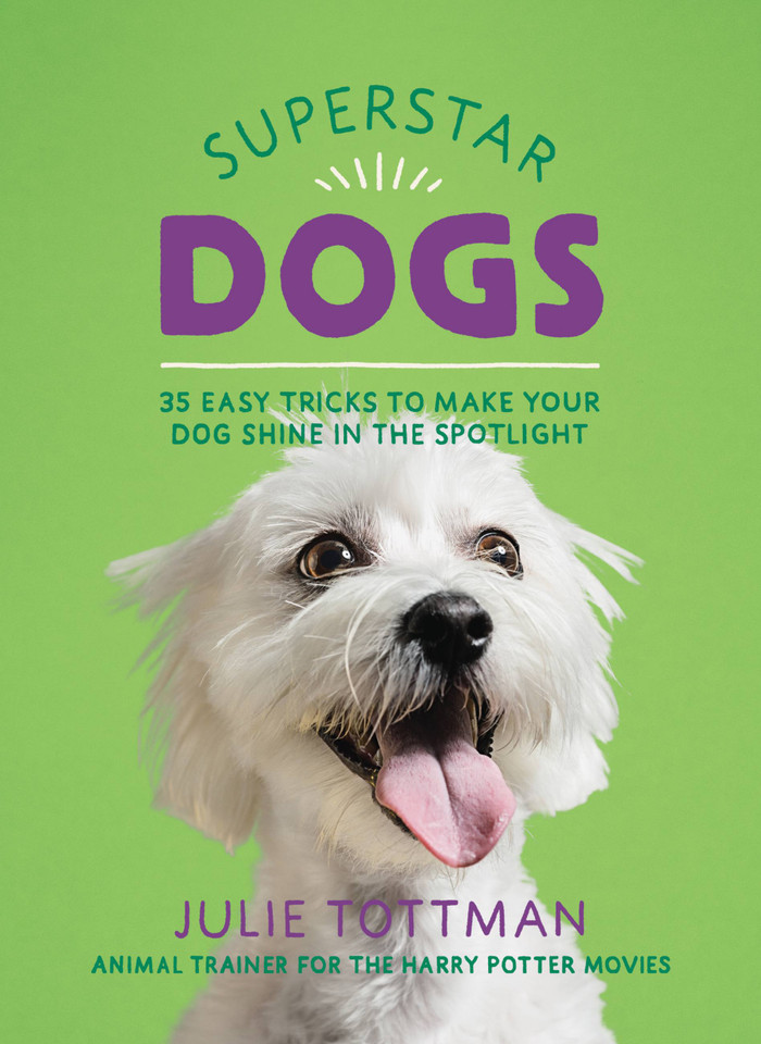 Superstar Dogs: 35 Easy Tricks to Make Your Dog Shine in the Spotlight book cover by Julie Tottman