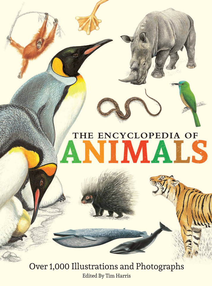 The Encyclopedia of Animals: More than 1,000 Illustrations and Photographs book cover by 