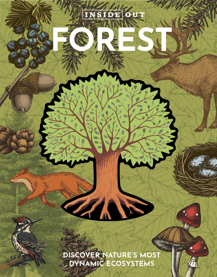 Inside Out Forest: Discover Nature's Most Dynamic Ecosystems (Inside Out, Chartwell) book cover by Editors of Chartwell Books