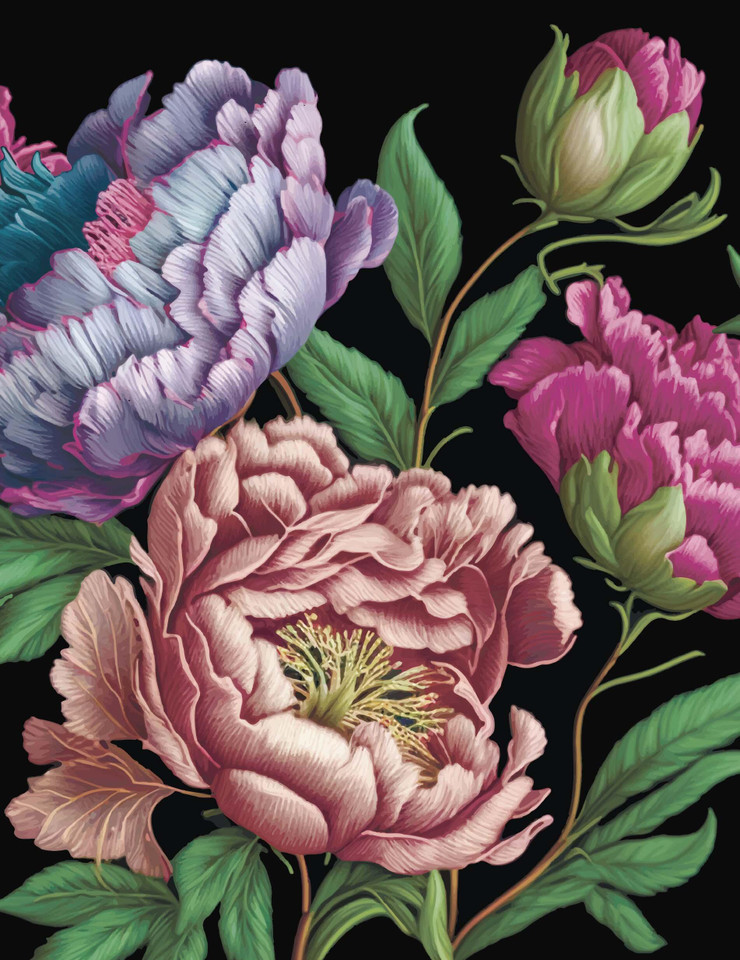 Peonies Journal: Lined Pages and Sprayed Edges book cover by Editors of Chartwell Books