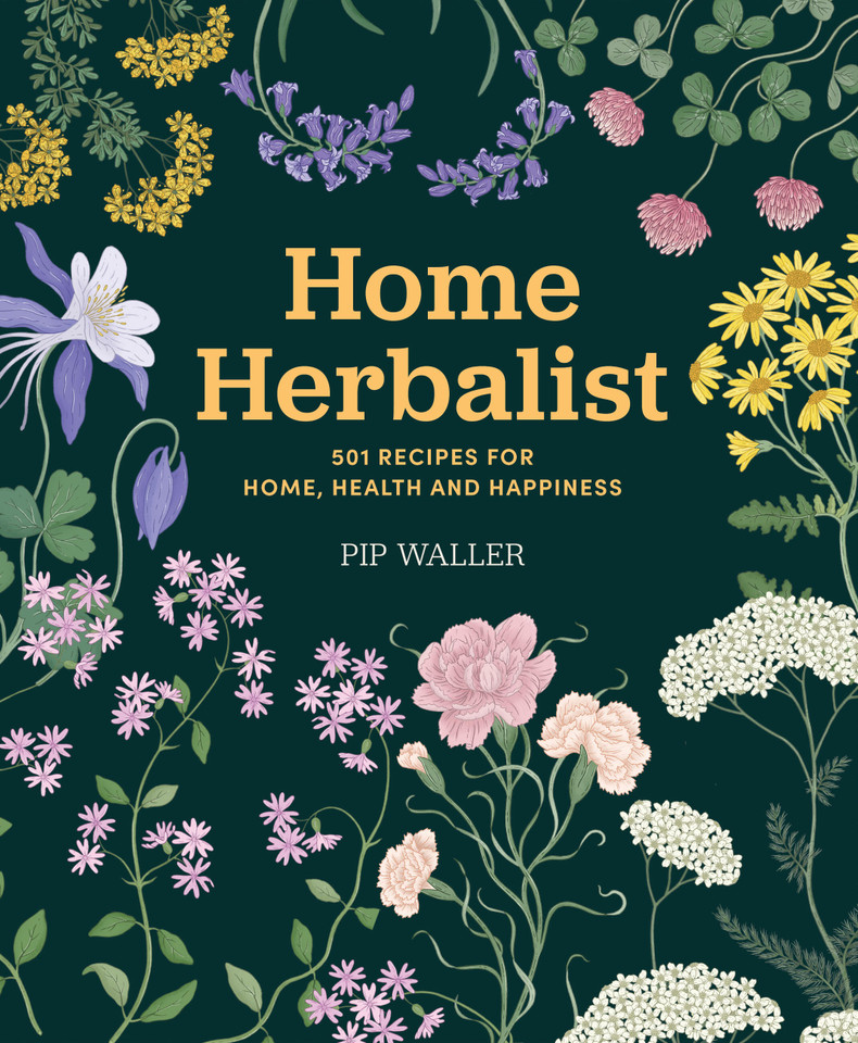 Home Herbalist: 501 Recipes for Home, Health and Happiness book cover by Pip Waller