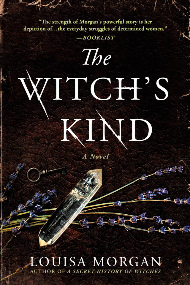 The Witch's Kind: A Novel book cover by Louisa Morgan
