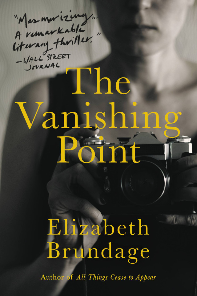 The Vanishing Point: A Novel book cover by Elizabeth Brundage