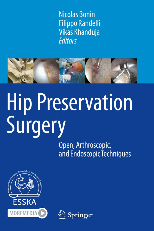 Hip Preservation Surgery: Open, Arthroscopic, and Endoscopic Techniques book cover by 