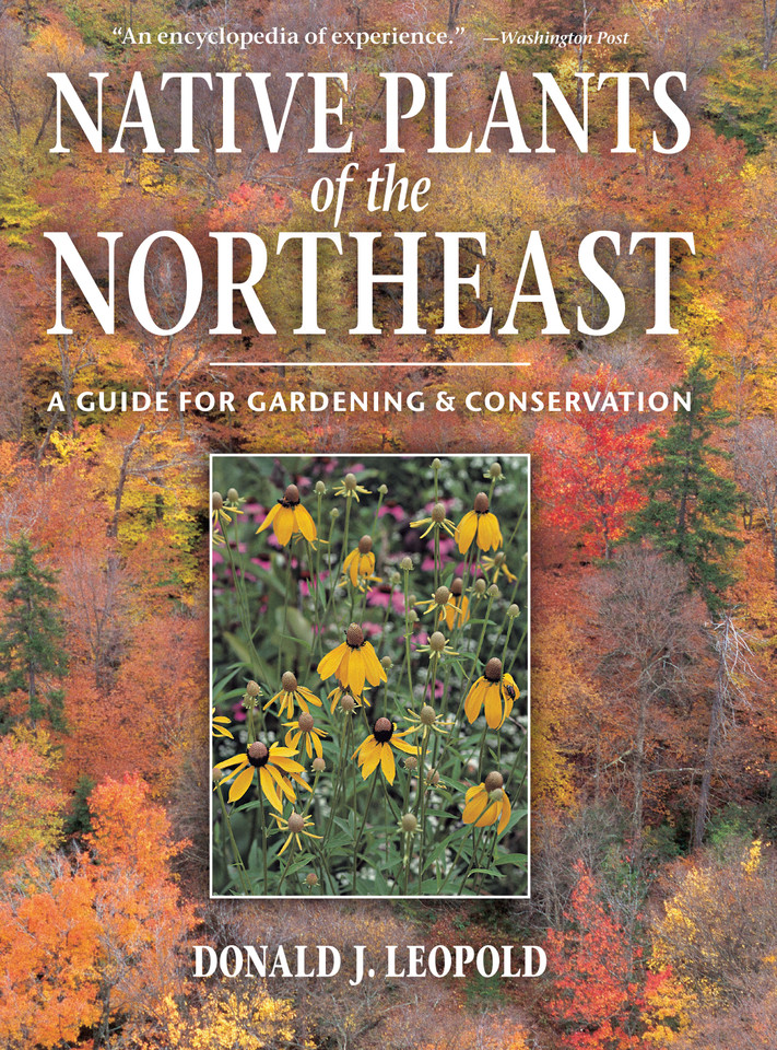 Native Plants of the Northeast: A Guide for Gardening and Conservation book cover by Donald J. Leopold