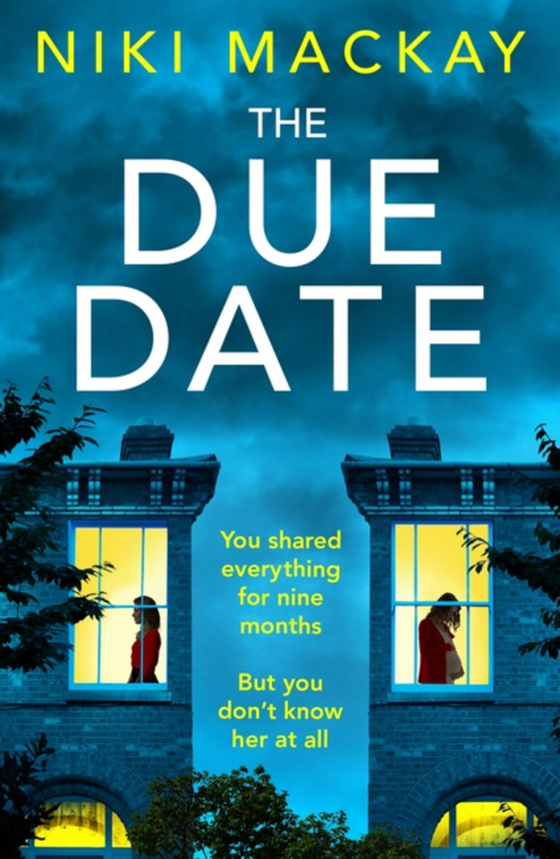 The Due Date: An absolutely gripping thriller with a mind-blowing twist book cover by Niki Mackay
