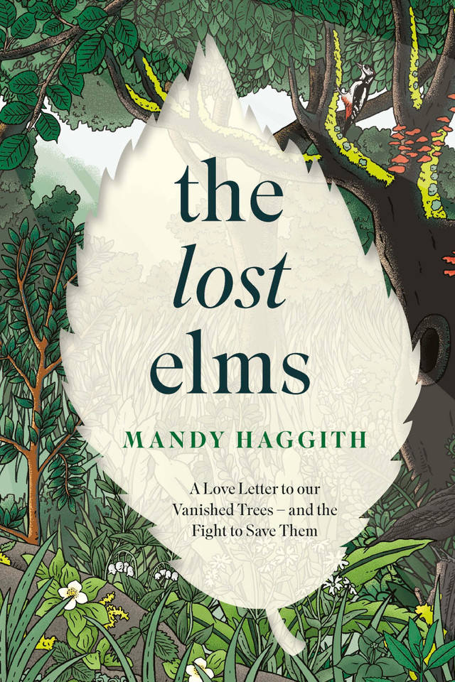 The Lost Elms: A Love Letter to Our Vanished Trees – and the Fight to Save Them book cover by Mandy Haggith