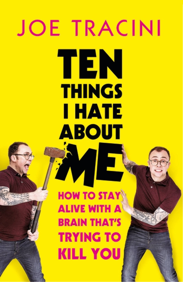 Ten Things I Hate About Me book cover by Joe Tracini