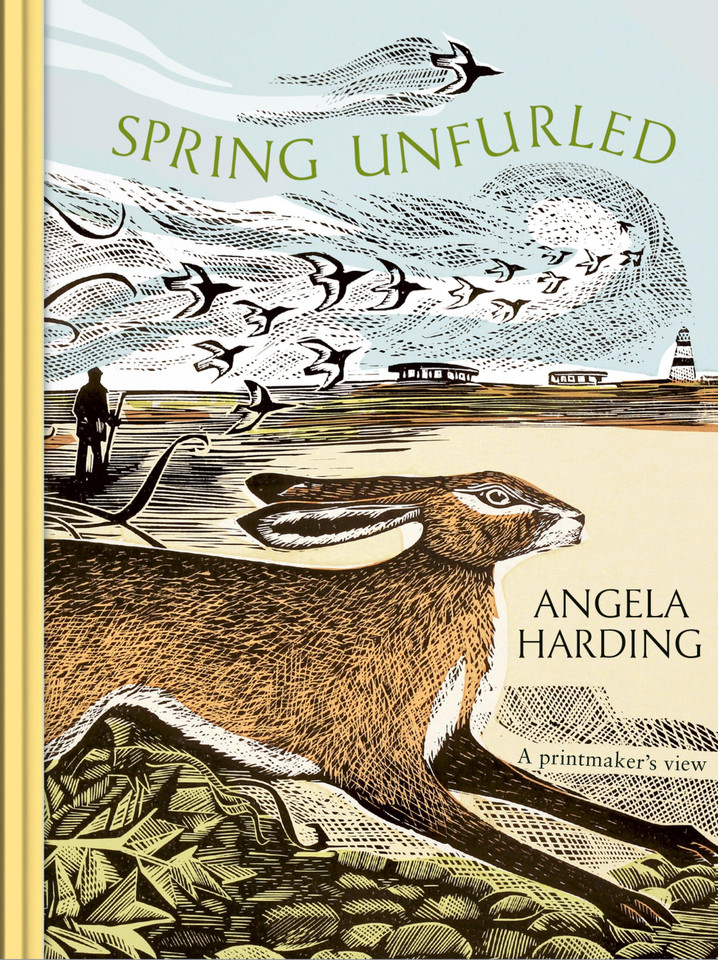 Spring Unfurled: part of a beautiful new series from beloved illustrator and print-maker Angela Harding book cover by Angela Harding