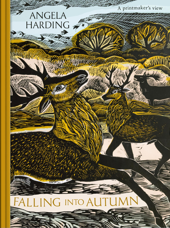 Falling in Autumn: part of a beautiful new series from beloved illustrator and print-maker Angela Harding book cover by Angela Harding
