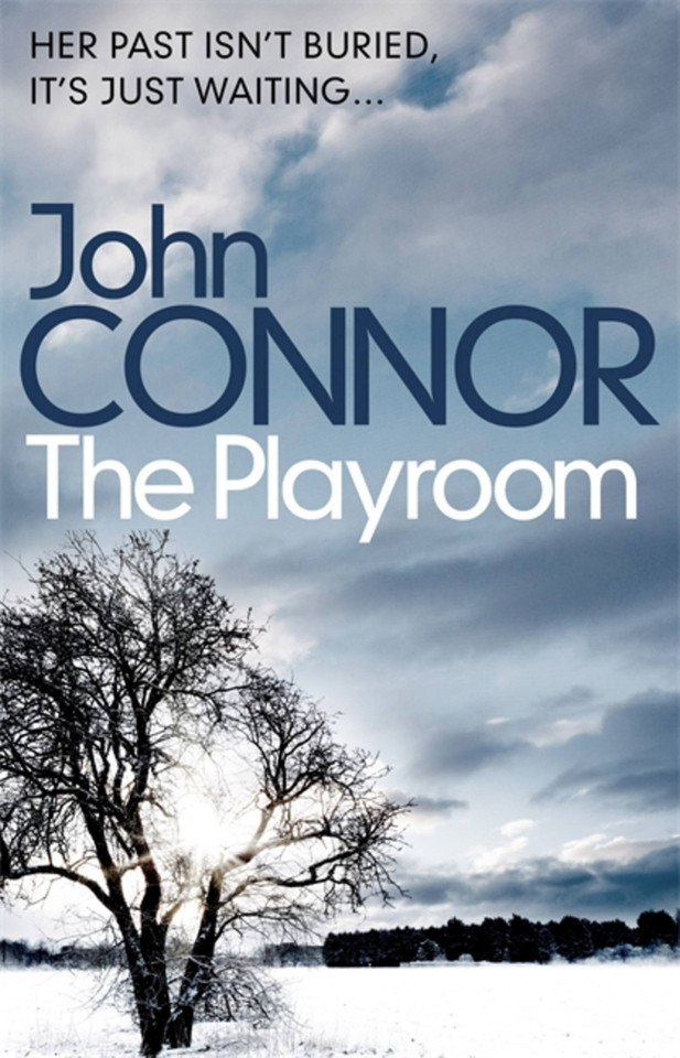 The Playroom book cover by John Connor