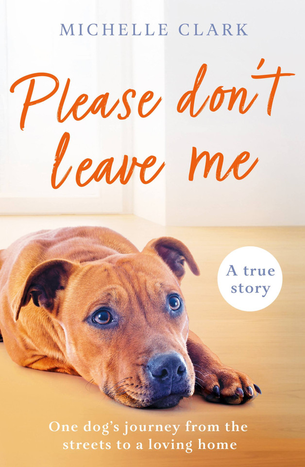 Please Don't Leave Me: The heartbreaking journey of one man and his dog book cover by Michelle Clark