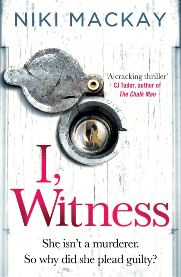 I, Witness book cover by Niki Mackay