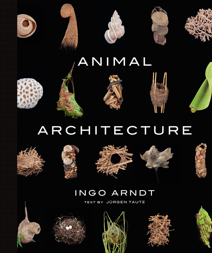 Animal Architecture book cover by Ingo Arndt