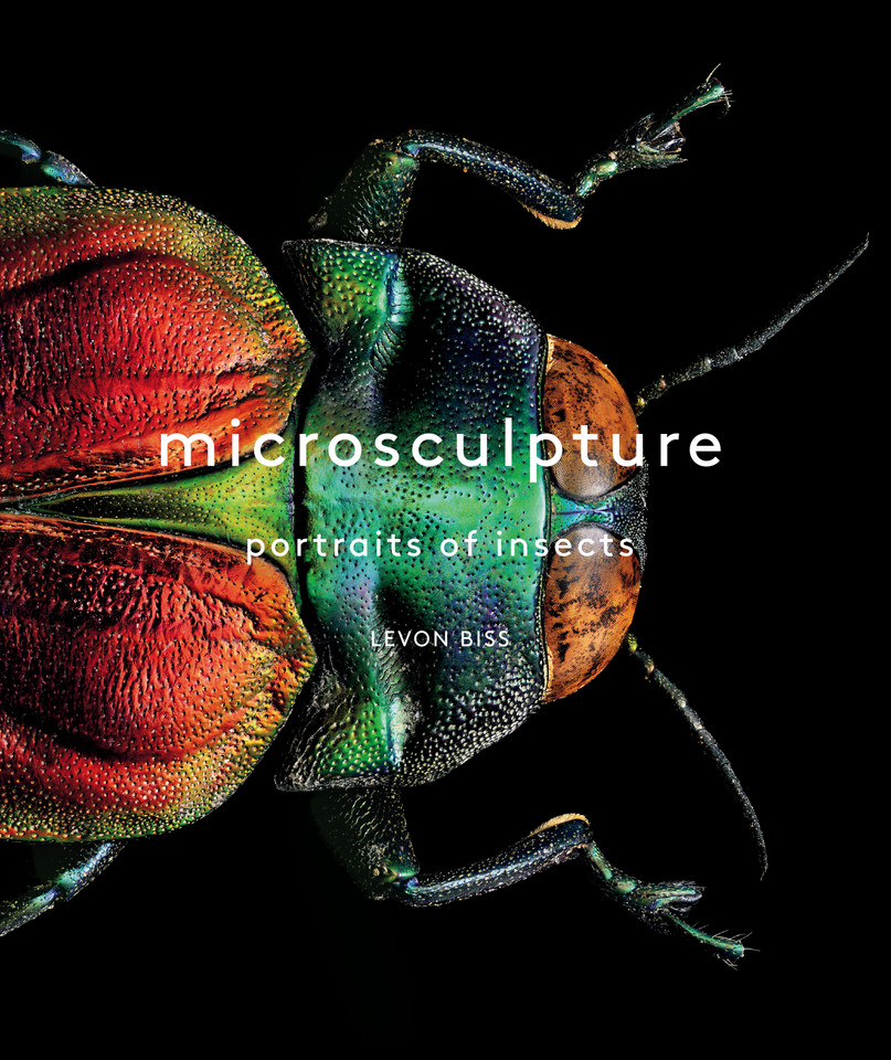 Microsculpture: Portraits of Insects book cover by Levon Biss