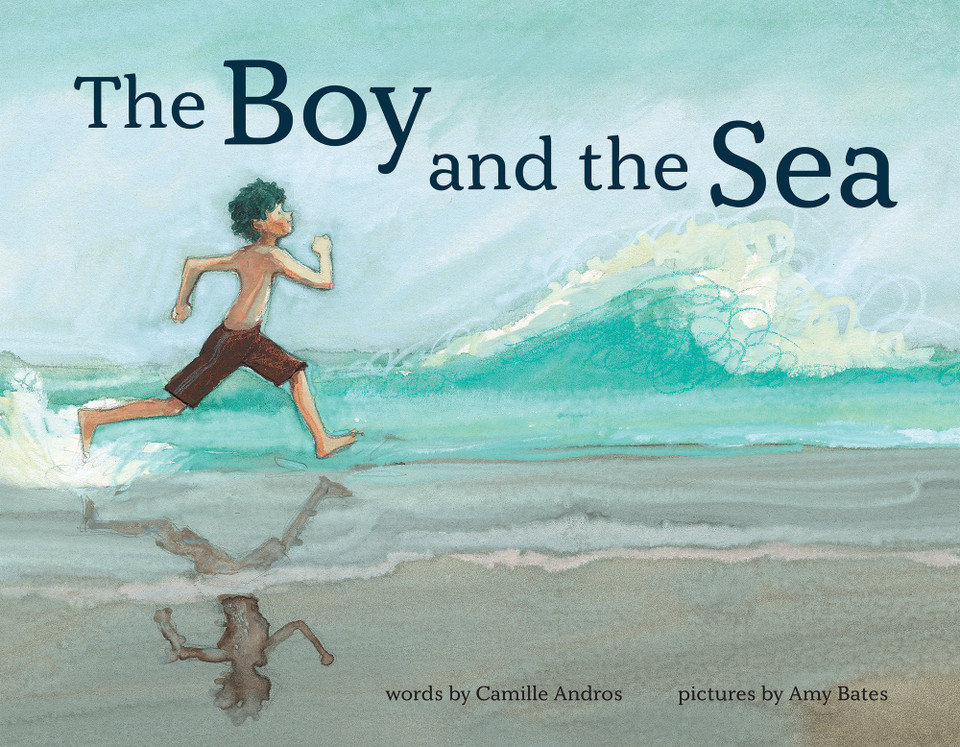 The Boy and the Sea [9781419749407]