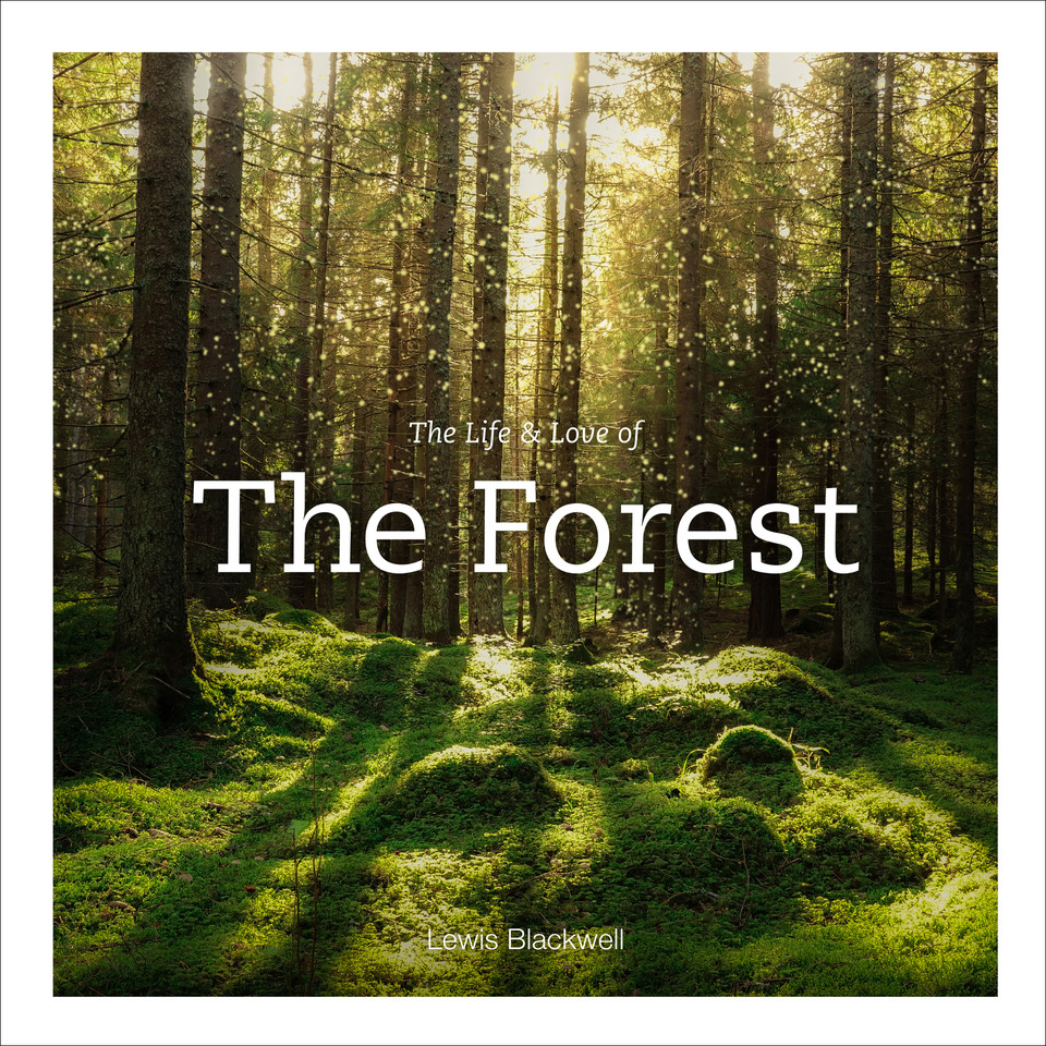 The Life & Love of the Forest: Photographs book cover by Lewis Blackwell