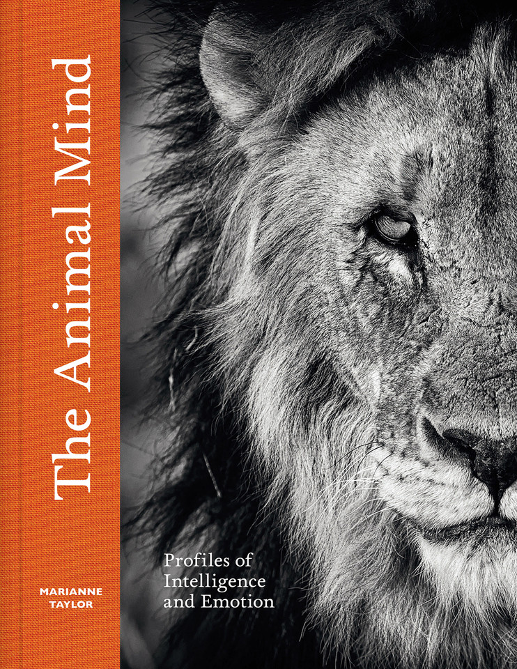 The Animal Mind: Profiles of Intelligence and Emotion book cover by Marianne Taylor