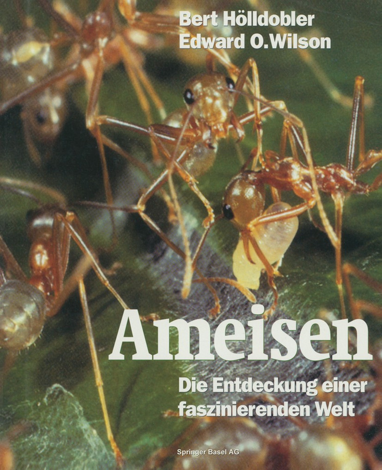 Ameisen: Die Entdeckung einer faszinierenden Welt book cover by Bert Hölldobler, Edward O. Wilson