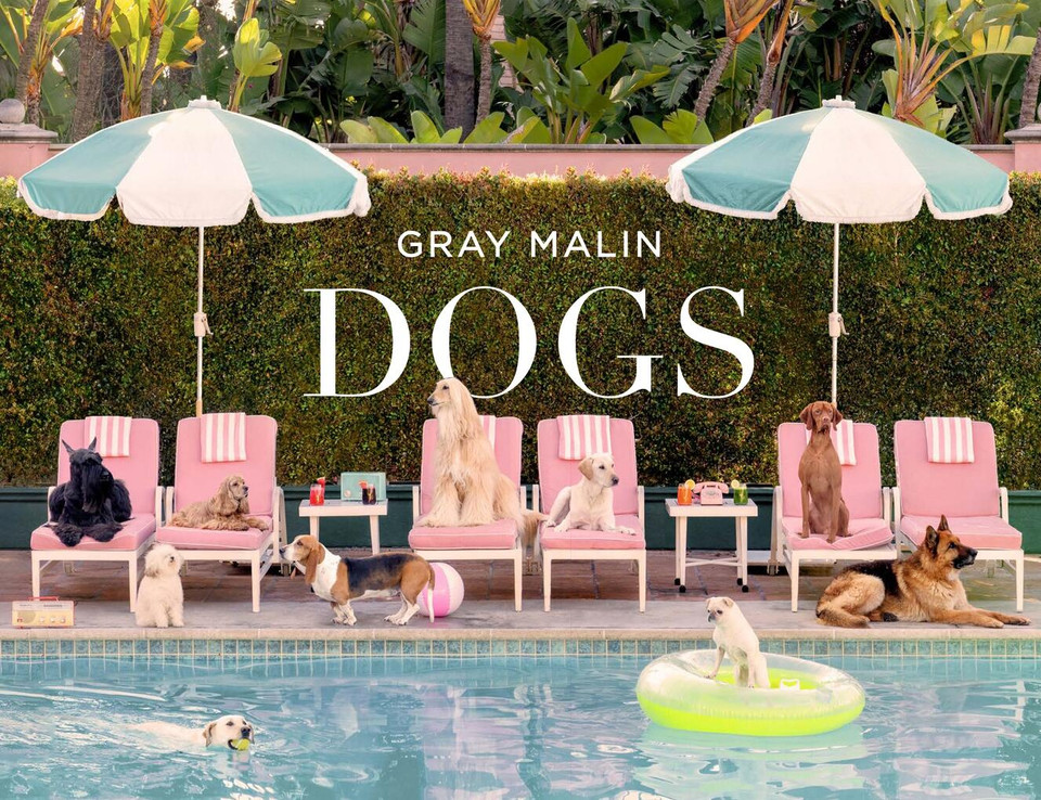 Gray Malin: Dogs: Photographs book cover by Gray Malin