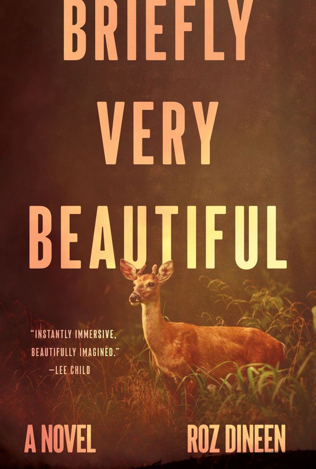 Briefly Very Beautiful: A Novel book cover by Roz Dineen