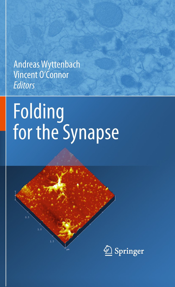 Folding for the Synapse book cover by 