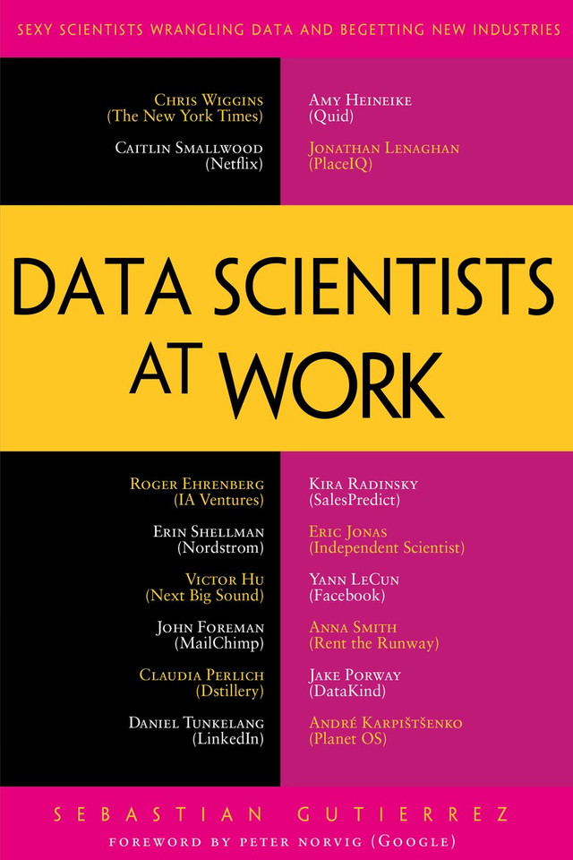 Data Scientists at Work book cover by Sebastian Gutierrez