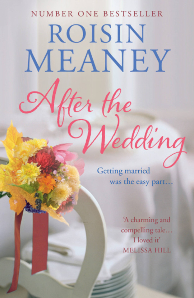 After the Wedding book cover by Roisin Meaney