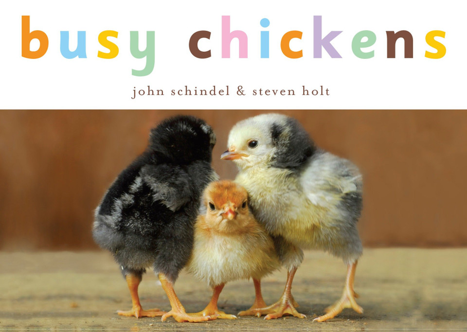 Busy Chickens (A Busy Book) book cover by John Schindel