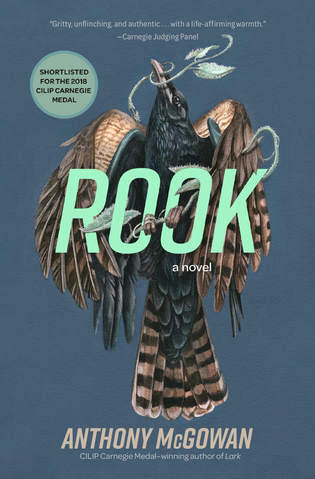 Rook: A Novel (Everyone Can Be a Reader (Hard Truths) #3) book cover by Anthony McGowan